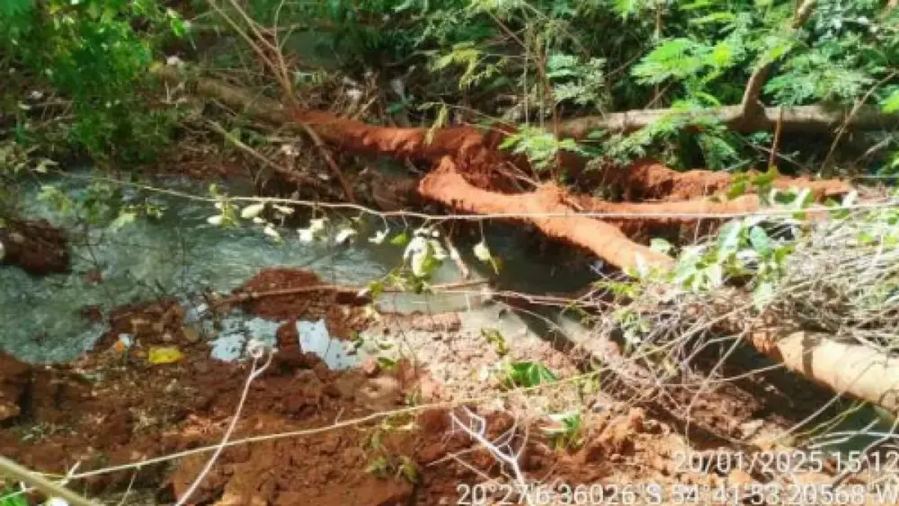 MP apura poluição no Córrego Imbirussu após morte de peixes