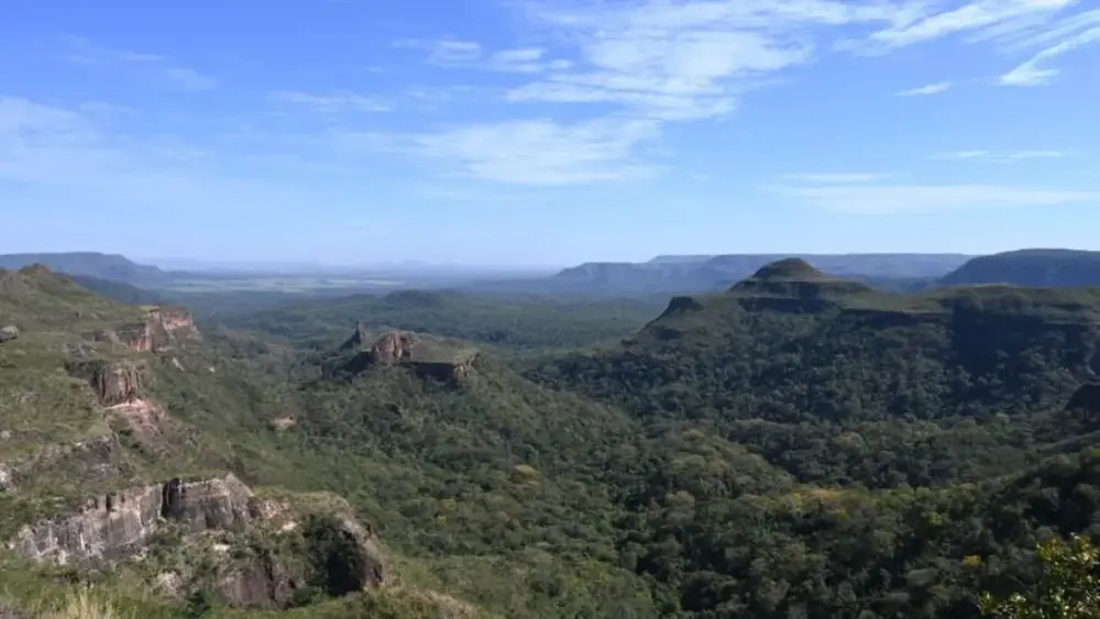 Pantanal lidera queda do desmatamento; Cerrado recua 11,5%