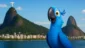 Quando foi gravado Rio filme de animação no Rio real?