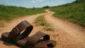 Sonhar com sandália quebrada: caminhos e tropeços