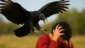 Sonhar com urubu atacando: avisos e mudanças à vista