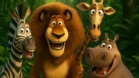 Madagascar: Animais do Zoológico na Selva da DreamWorks! Madagascar: Animais do Zoológico na Selva da DreamWorks!