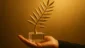 Palme d’Or: A Razão da Cobiça Pelo Prêmio Mais Prestigiado de Cannes no Cinema