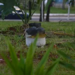 Botijão pega fogo antes do Arraial de Santo Antônio
